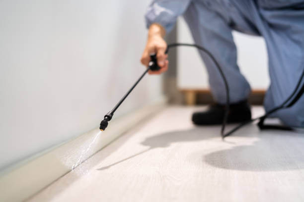 Licensed Pest Control service in Fall River, WI - Show Me Pest Control