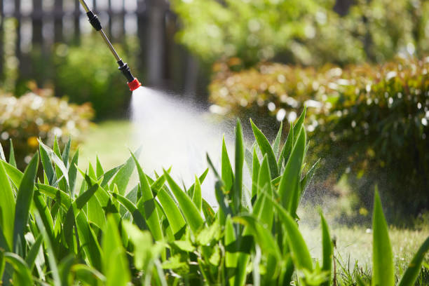 24/7 Emergency Mosquito Control experts in Fall River, WI